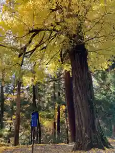 国上寺(新潟県)(2025年11月28日(金) 10時47分44秒投稿)