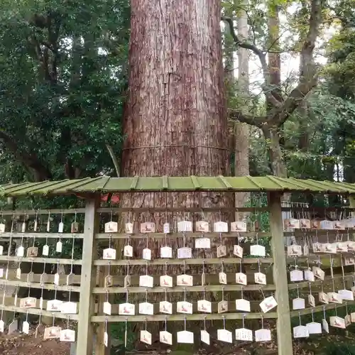 鹿島神宮の絵馬