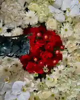 札幌諏訪神社の手水舎