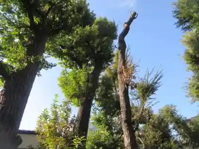 稲荷神社(東京都)