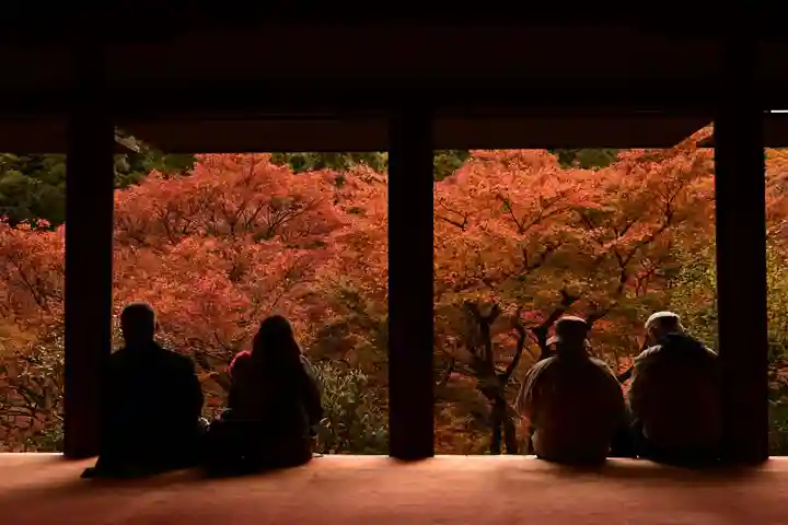 高山寺(京都府)