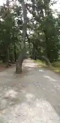 天橋立神社の建物その他