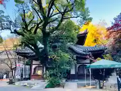 長楽寺の末社