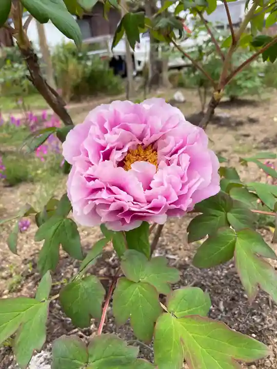 慈眼寺(愛知県)