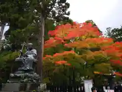 瑞巌寺の自然