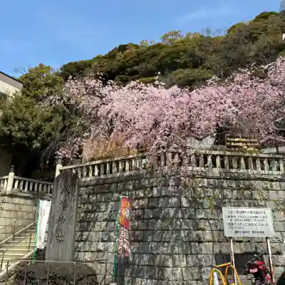 根岸八幡神社(神奈川県)