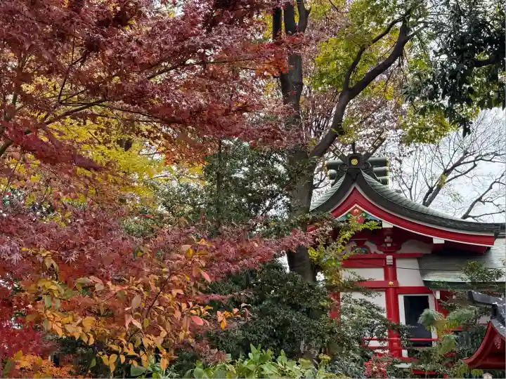 川越八幡宮(埼玉県)