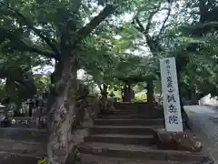 桃岳院の山門