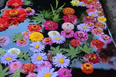 大鏑神社の手水舎