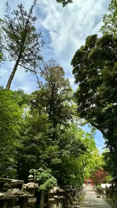 石清水八幡宮(京都府)