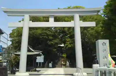 白旗神社の鳥居