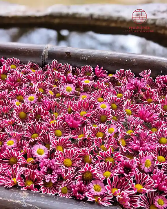 立志神社(滋賀県)