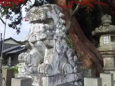 八幡神社（武芸八幡宮）の狛犬