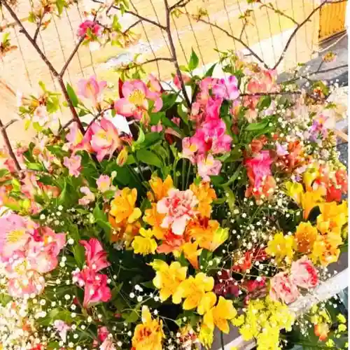 彌彦神社　(伊夜日子神社)の手水舎