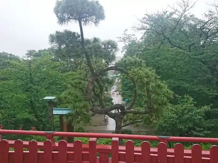 清水観音堂の庭園