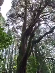 幣立神宮(熊本県)