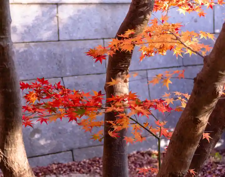 香椎宮(福岡県)
