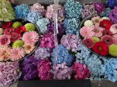 新川皇大神社の手水舎