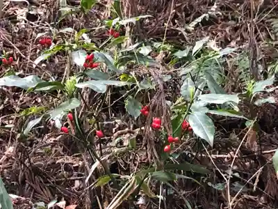 黄金山神社の自然