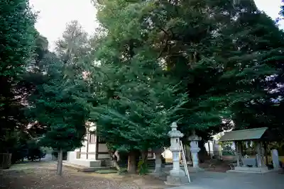 天照神社(千葉県)