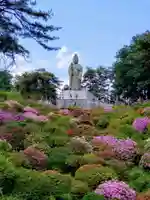 塩船観音寺(東京都)