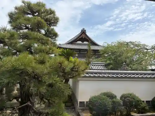 花岳寺の{uncategorized: "未分類", other: "その他", undefined: "問題あり", building: "その他建物", grave: "お墓", sacred_gate: "鳥居", guardian: "狛犬", statue: "像", buddha: "仏像", history: "歴史", nature: "自然", garden: "庭園", animal: "動物", pagoda: "塔", temizu: "手水舎", mountain_gate: "山門・神門", sanctuary: "本殿・本堂", subordinate: "末社・摂社", art: "芸術", scenery: "景色", jizo: "地蔵", ema: "絵馬", goshuin: "御朱印", omikuji: "おみくじ", items: "授与品その他", amulet: "お守り", goshuincho: "御朱印帳", eats: "食事", festival: "お祭り", votive_dance: "神楽", shichigosan: "七五三参", wedding: "結婚式", experience: "体験その他", initially: "初詣", around: "周辺", anti_infection: "感染症対策"}