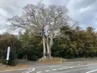 皇産靈神社(千葉県)