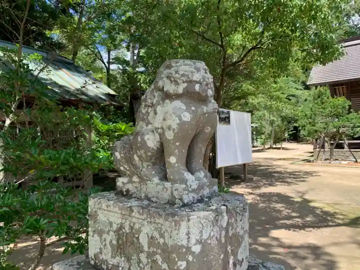橘樹神社の狛犬