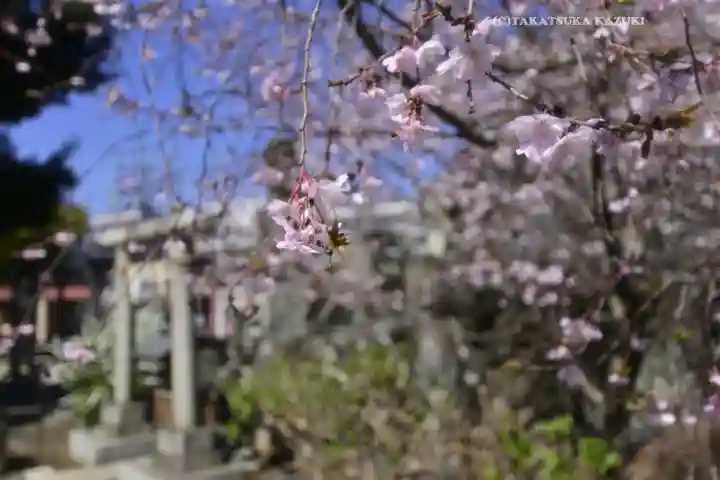 千住神社(東京都)