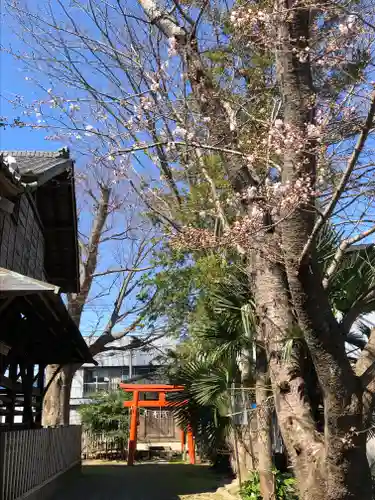 龍ケ崎八坂神社の自然