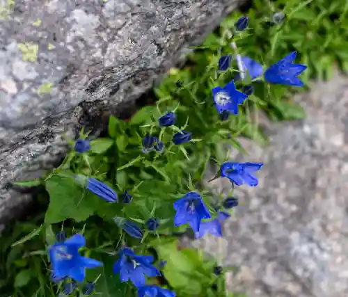 白山比咩神社　奥宮(石川県)