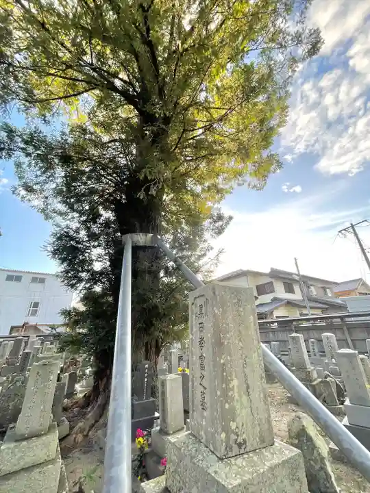 法因寺(三重県)