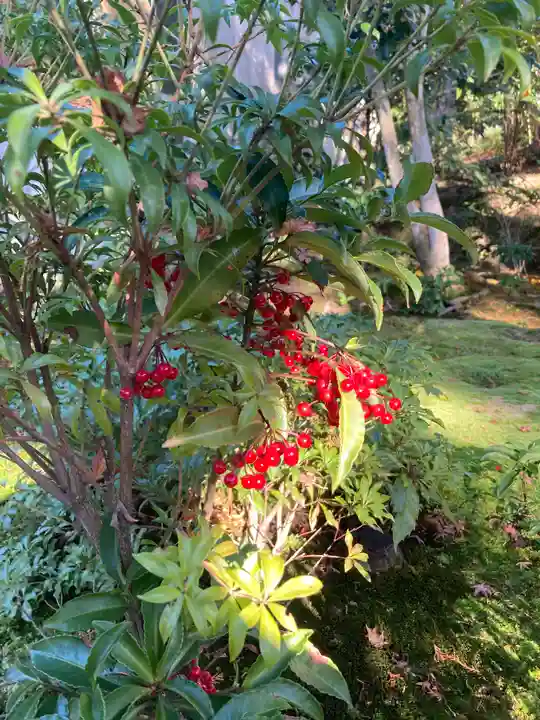 慈眼院(大阪府)