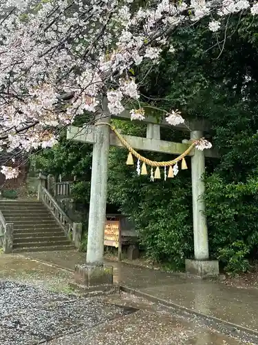 前玉神社(埼玉県)