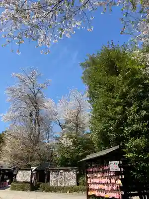 櫻木神社(千葉県)