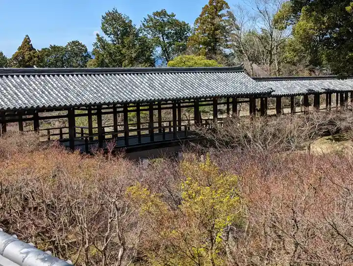 東福禅寺(東福寺)(京都府)