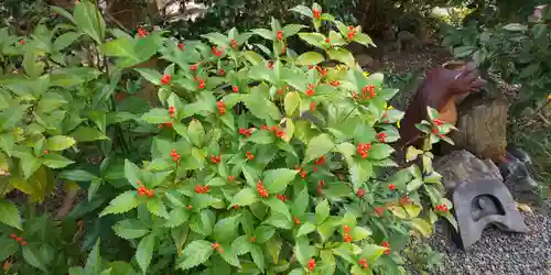 祐正寺(京都府)