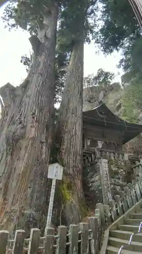 榛名神社(群馬県)