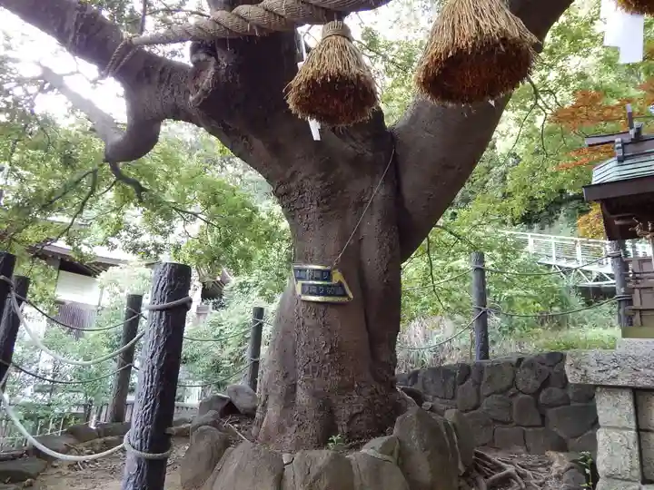 本牧神社(神奈川県)