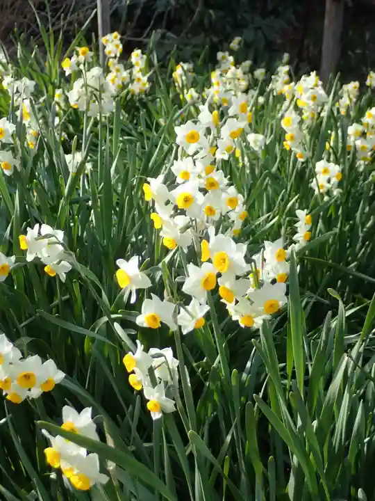 本牧神社(神奈川県)