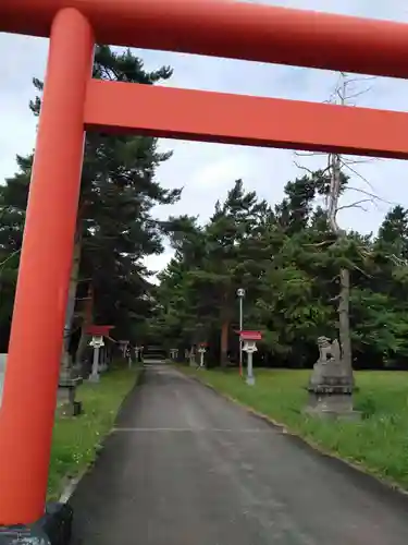 雨龍神社の鳥居