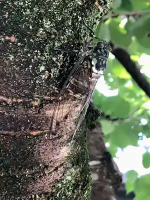 秩父札所十三番 慈眼寺(埼玉県)