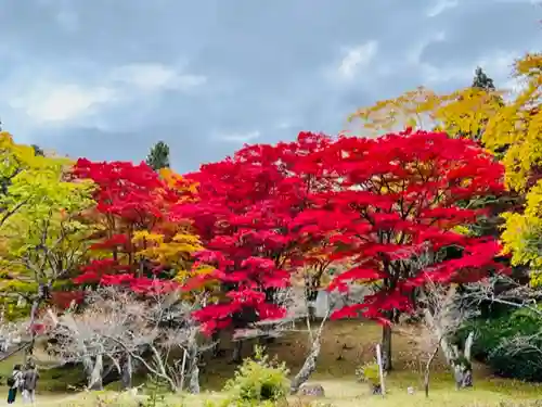 土津神社｜こどもと出世の神さまの景色