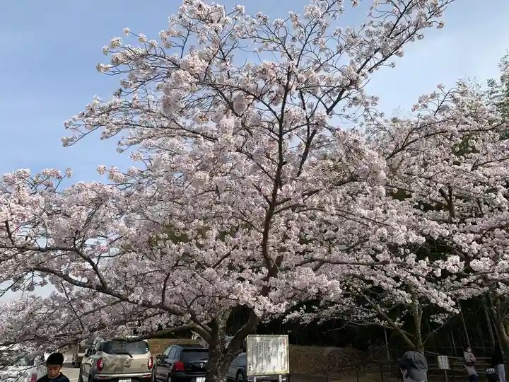 草谷天神社の自然