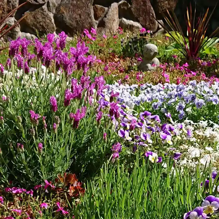 寿量山 速成寺の自然