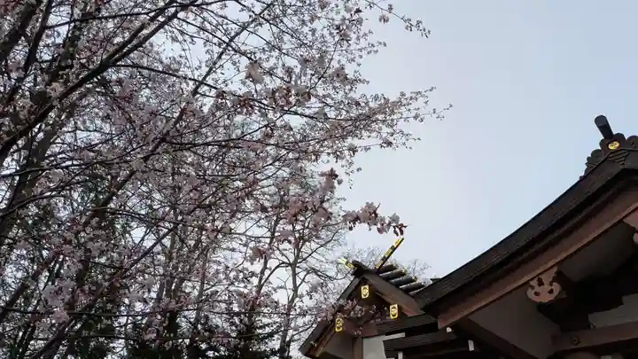 鷹栖神社の自然