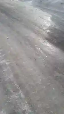 新琴似神社の周辺