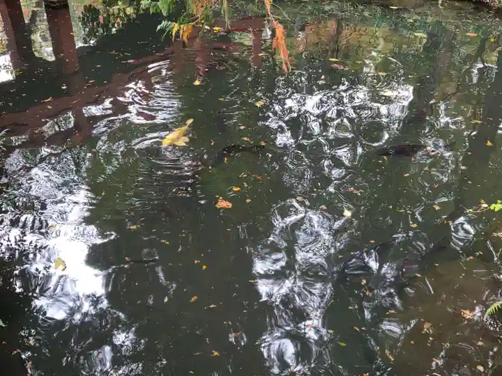 大神神社(栃木県)