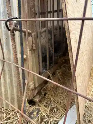 坪沼八幡神社(宮城県)