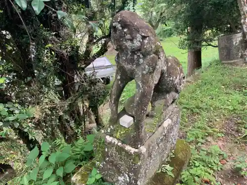 浅間神社の狛犬